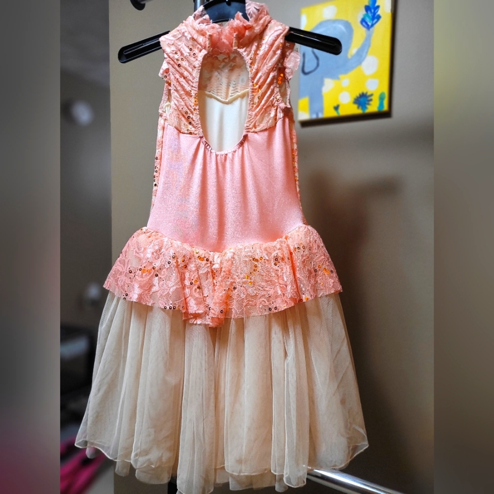 Girls Ballet Costume - Picture 2 of 2